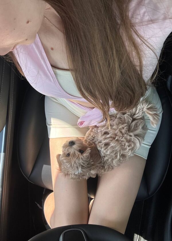 Annie - Image 6